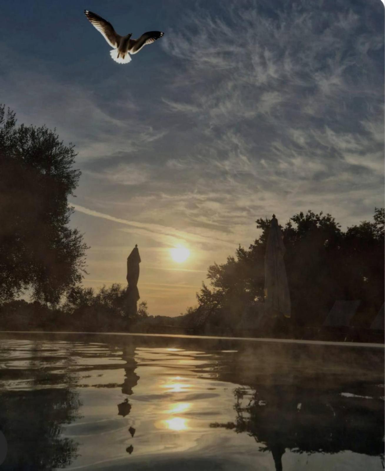Fattoria Pianetti Guest House Манчано Екстериор снимка